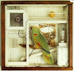 Photo of Untitled by Cornell