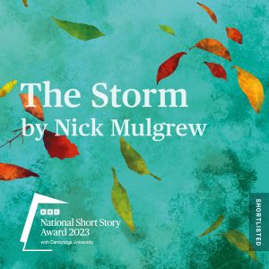 The Storm, by Nick Mulgrew