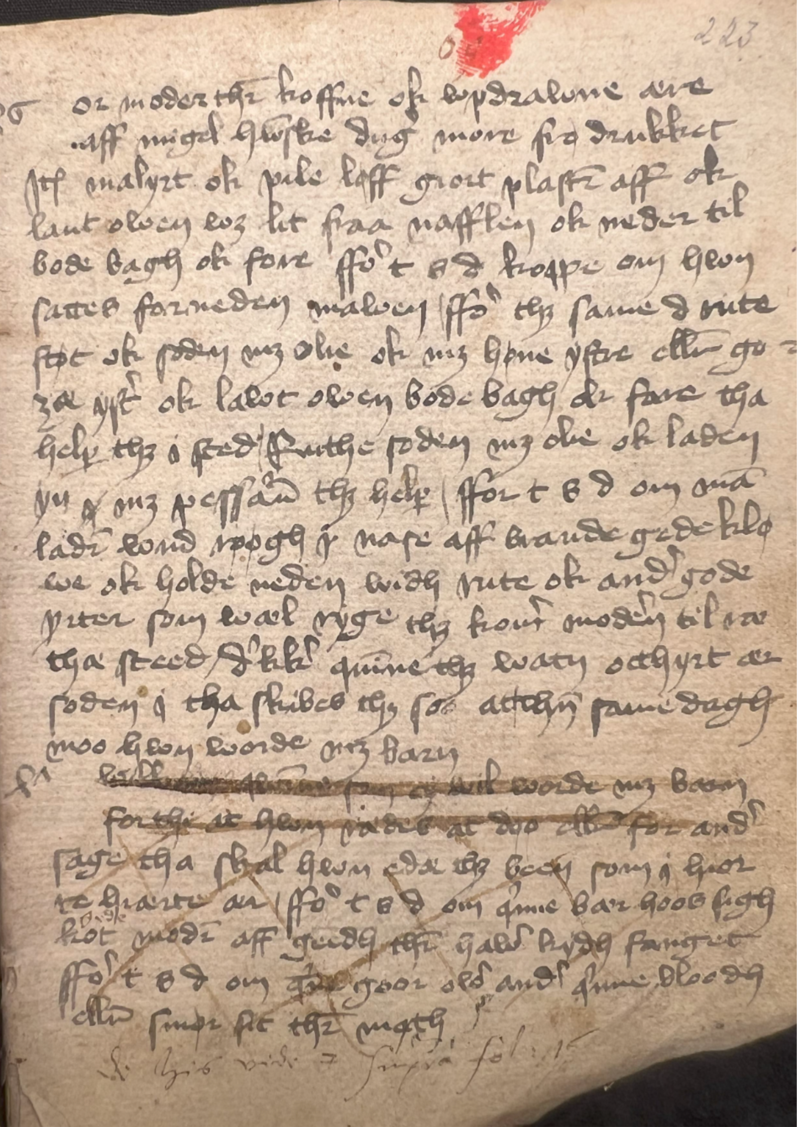 Royal Library of Sweden X 23 4to, p. 223, an image from the famous Danske Urtebog ('Danish Herbal'), naming Ligustrum as a remedy for menstruation, which they call orenlik thing nidhan ('unclean thing down below').