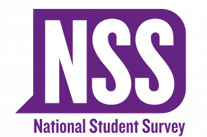 nss_2017_logo_english