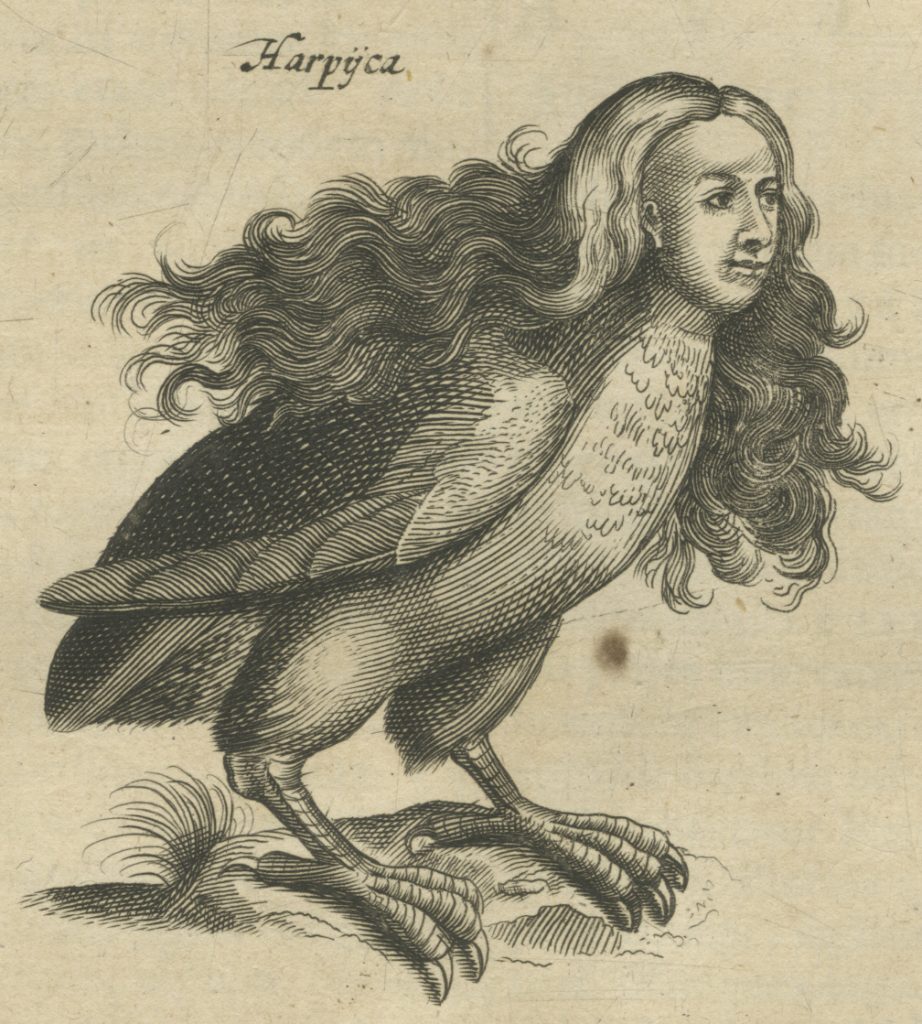 Picture of a harpy, with long hair and a woman's face on a bird's body