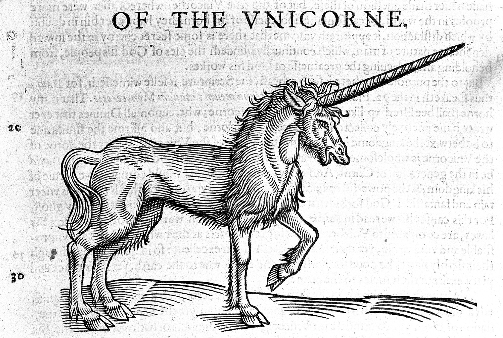 Picture of a unicorn