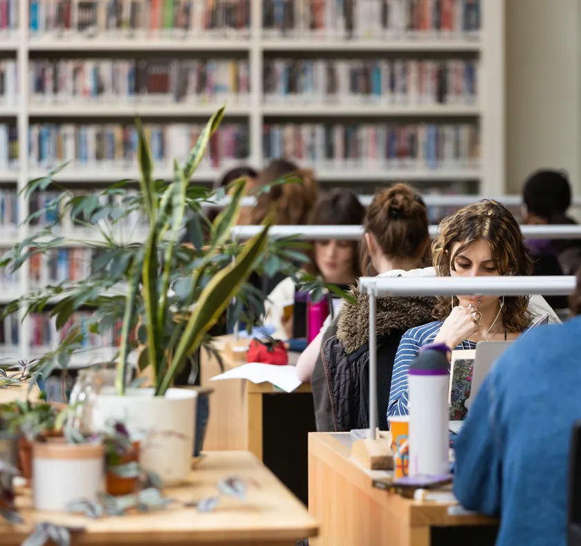 students at desks in library with pot plants to left