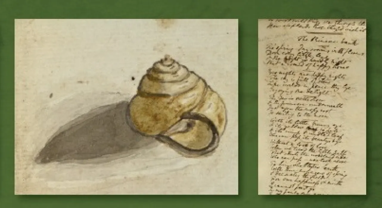 Shell and texts