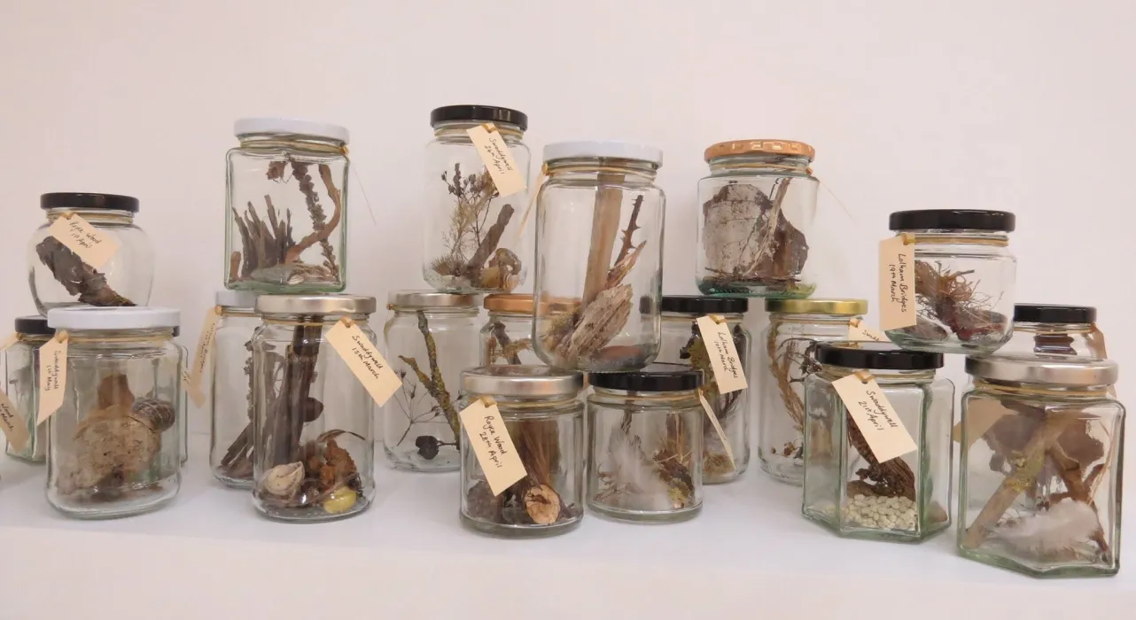 jam jars with botanical samples, art exhibit