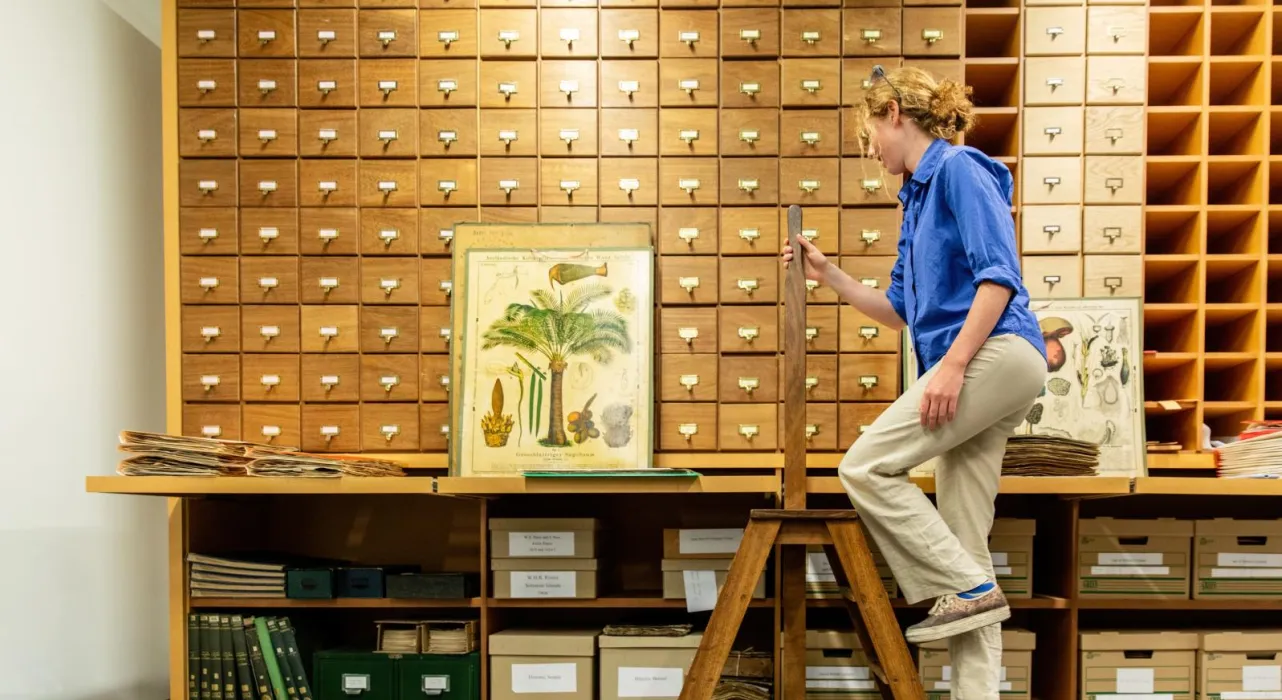 University of Cambridge student doing research at the Sainsbury Laboratory - Darwin ladder storage. Copyright: University of Cambridge (June 2023)