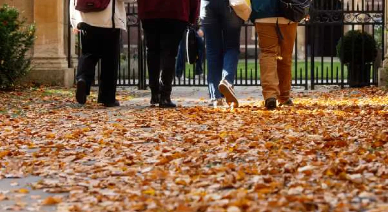 four students walking away, legs only visible, on leafy autumn street