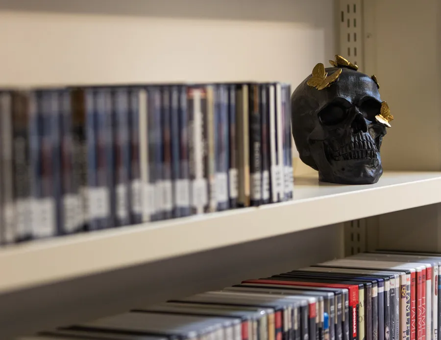 A skull on a bookshelf, decorated with gold butterflies.