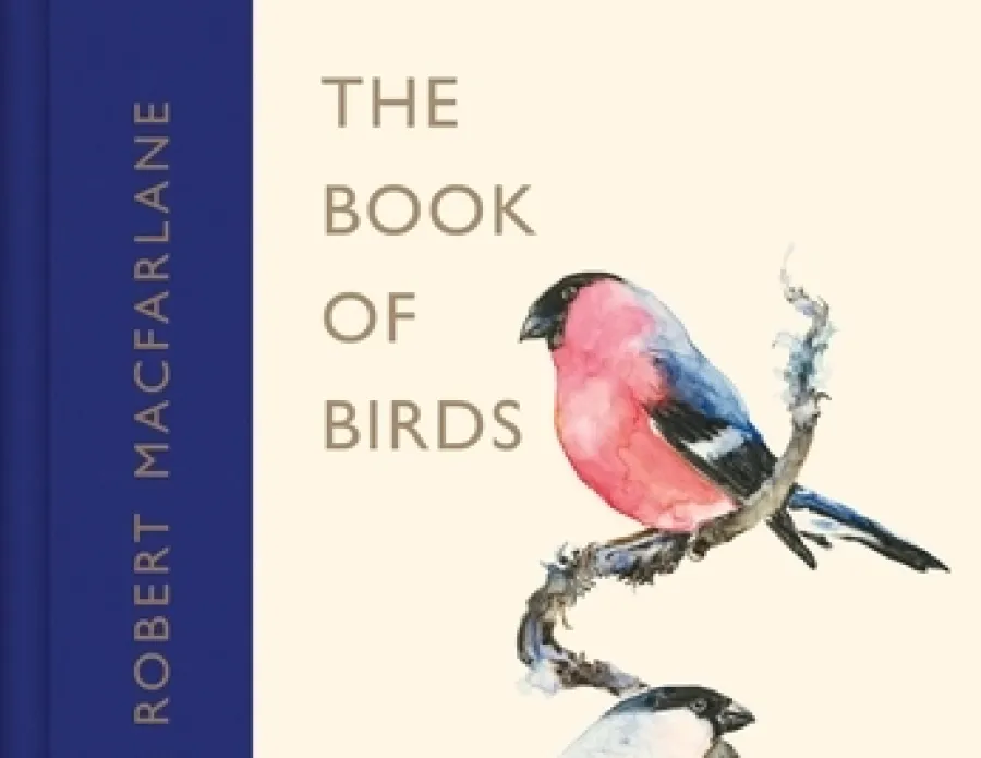 title page illustration
