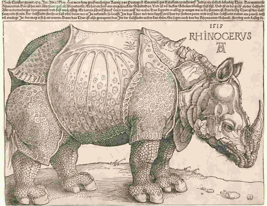 Albert Durer's engraving of a Rhino