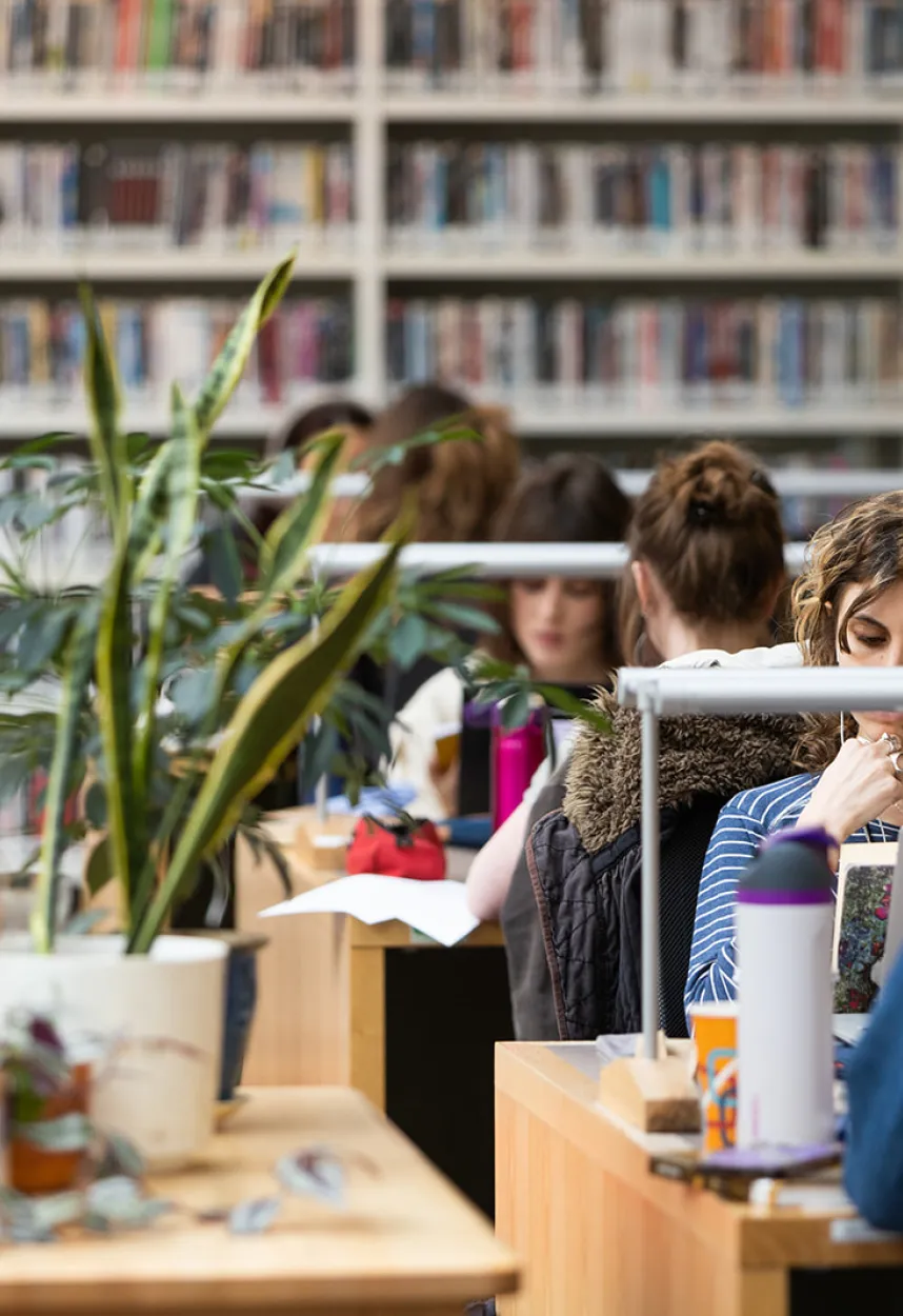 students at desks in library with pot plants to left